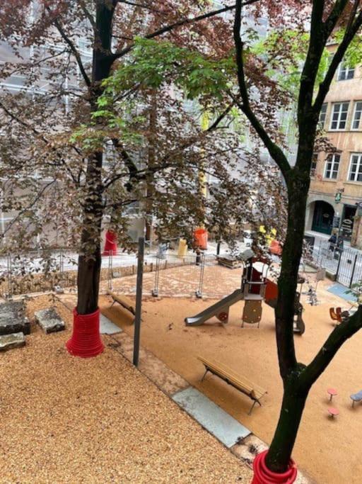 Apartament Le Cocon De Saint-Jean Lyon Zewnętrze zdjęcie